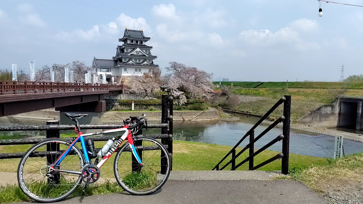 hwtsucchi's tweet photo. お花見サイクリングに行って来ました
満開で とても綺麗でした🌸😊 https://t.co/oFcz2Mni3a