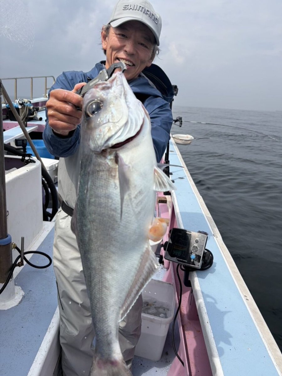 松本圭一 tweet media