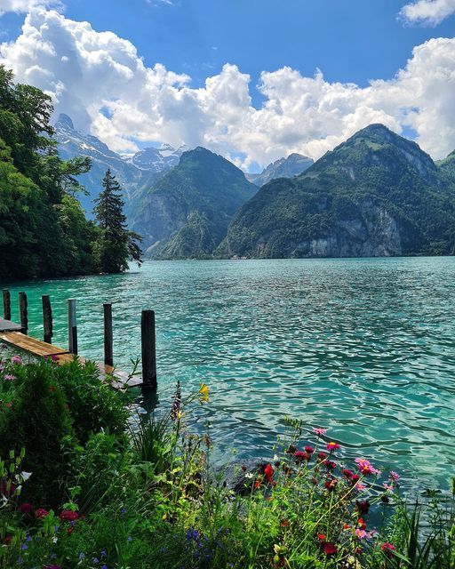 Sachin kumar tweet media