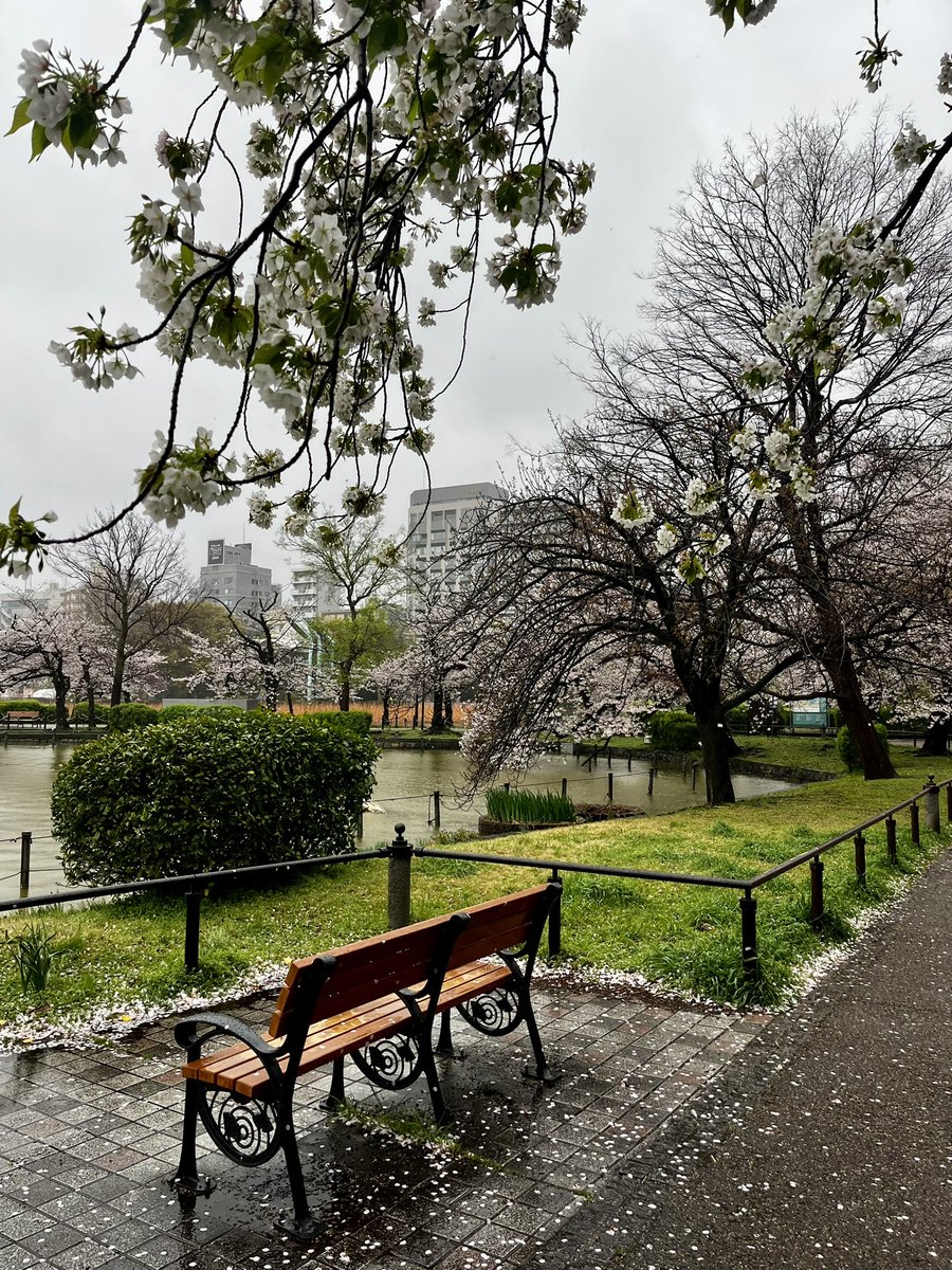 japantotheworld.com tweet media