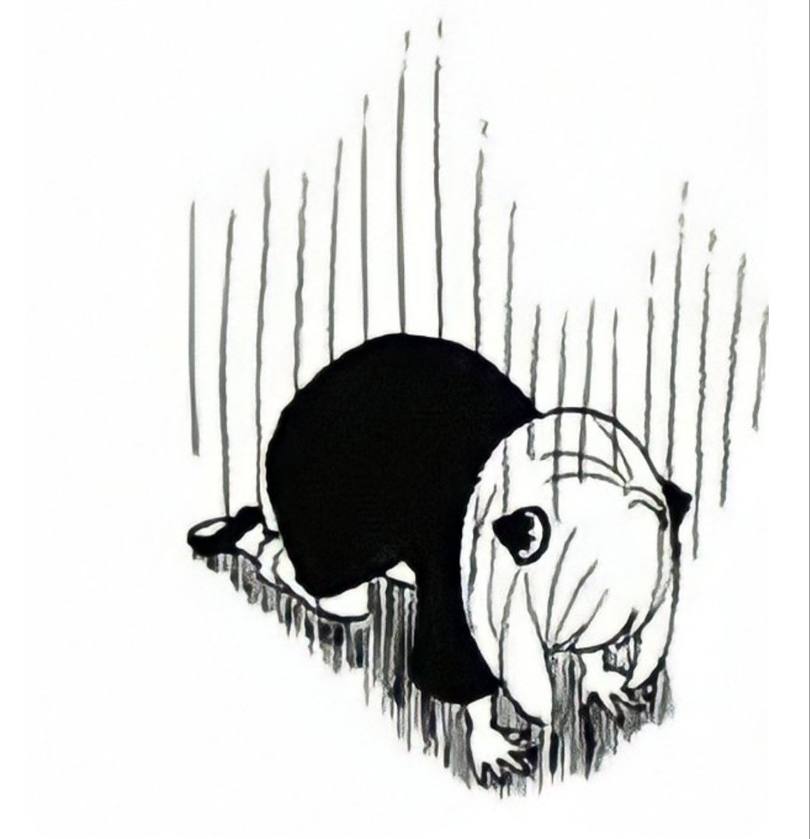 istrinya kakashi tweet media