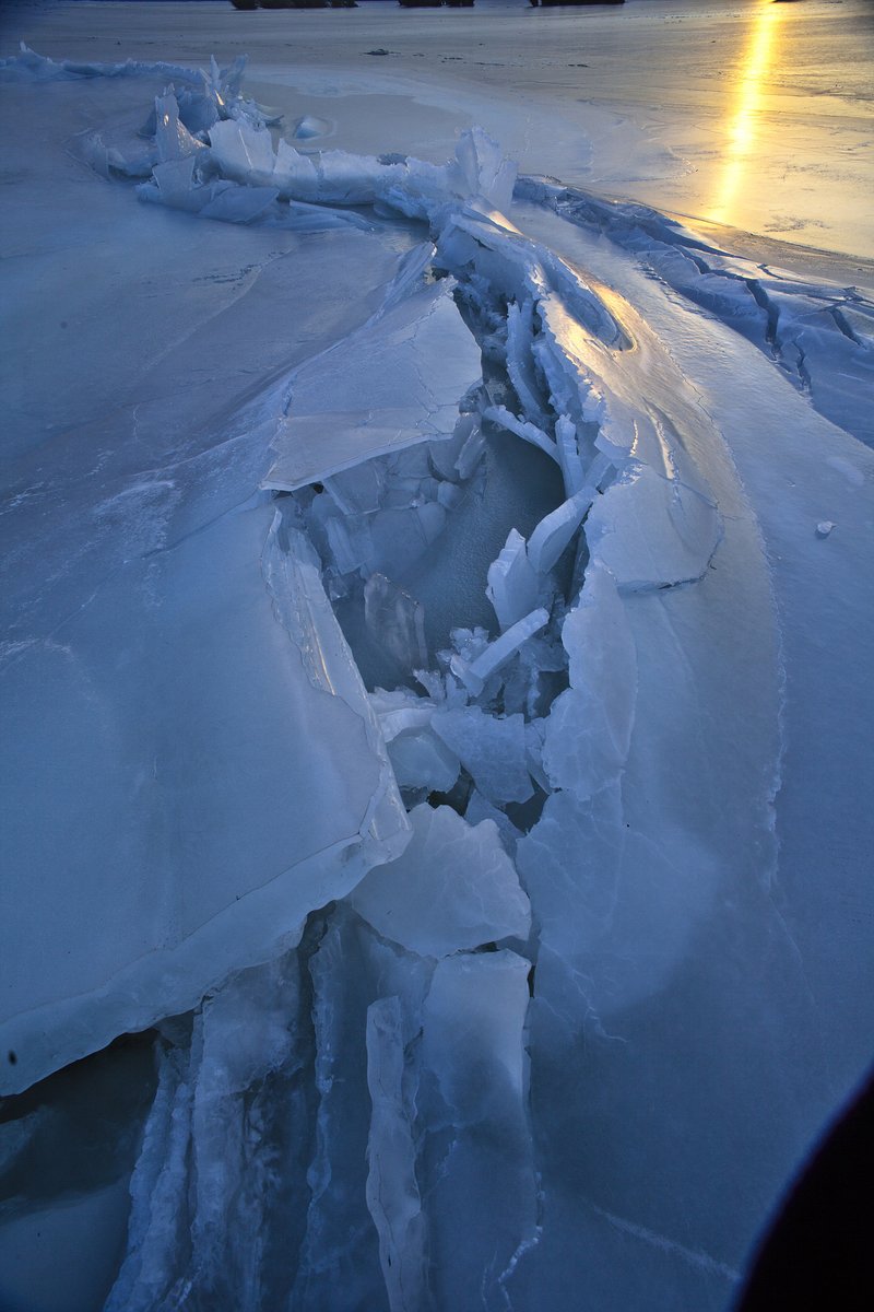 Stefano baronchelli tweet media