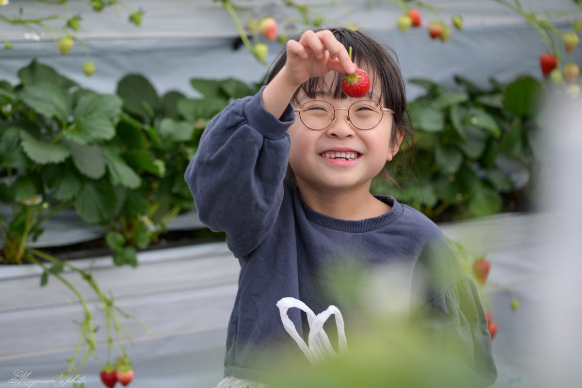 宮さん Photo Rider tweet media