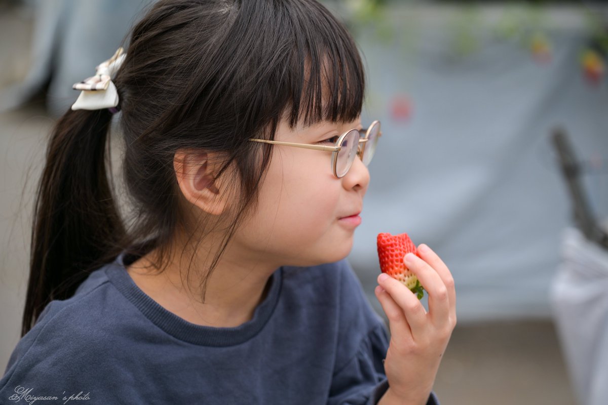 宮さん Photo Rider tweet media