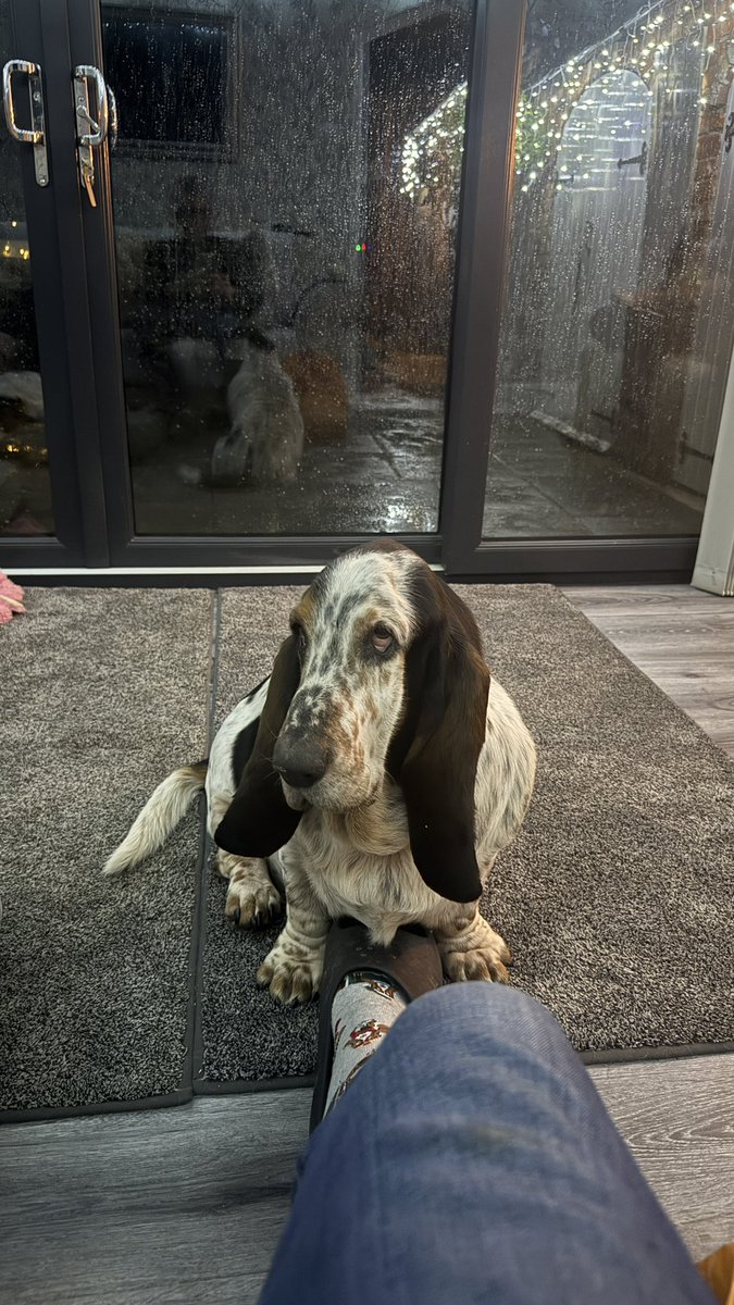 Phil Sledge tweet media