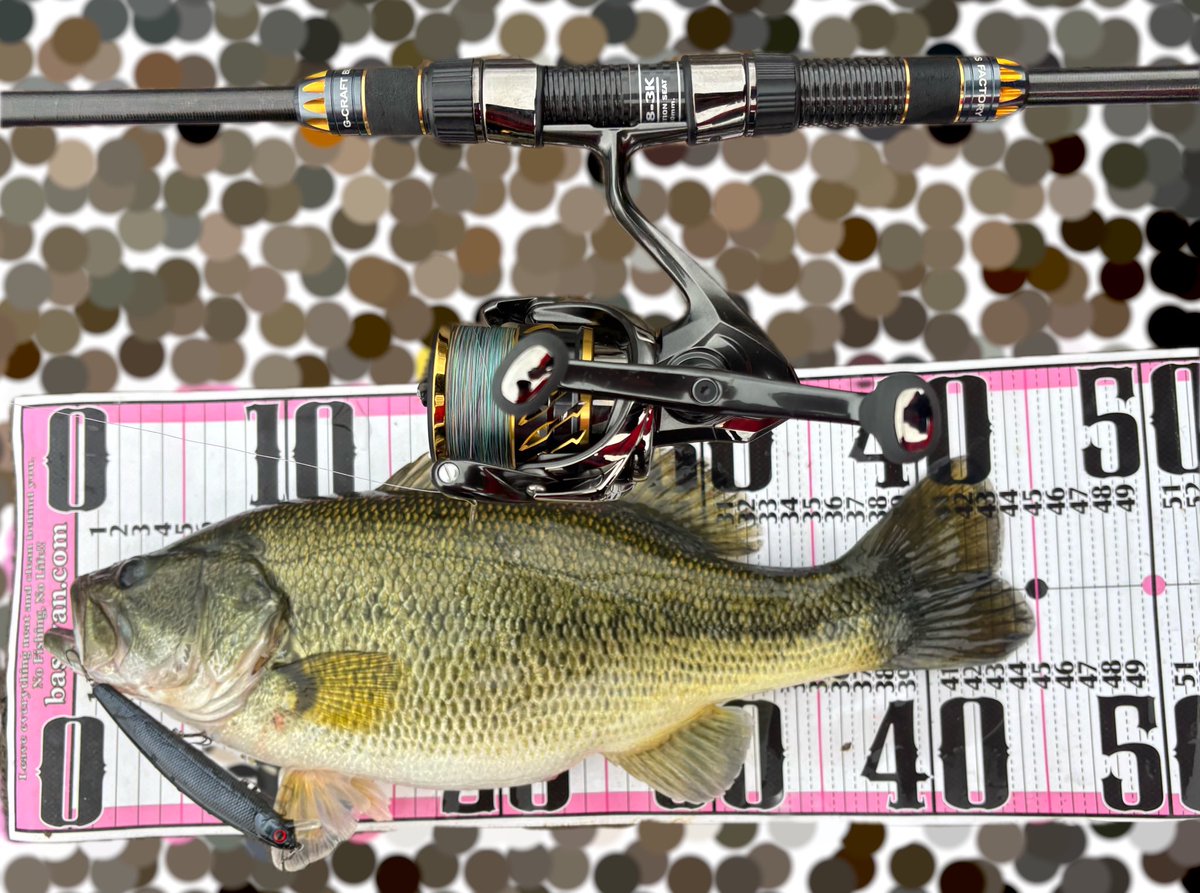 しまかぜ tweet media