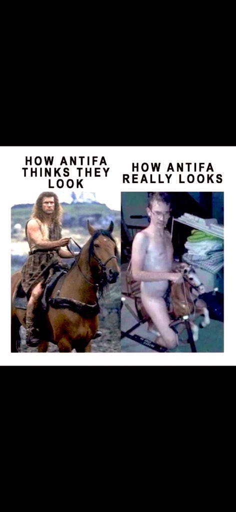 Polybiusxx tweet media