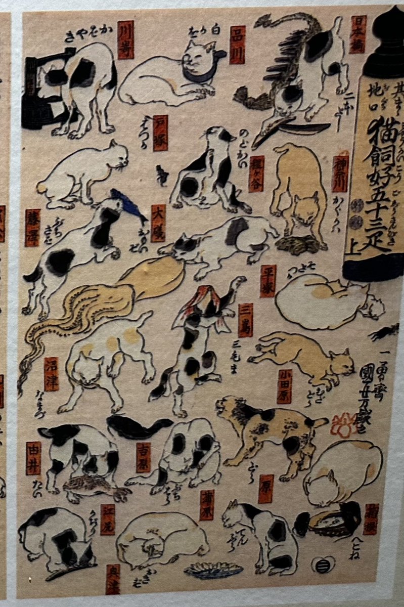 三毛千代 tweet media