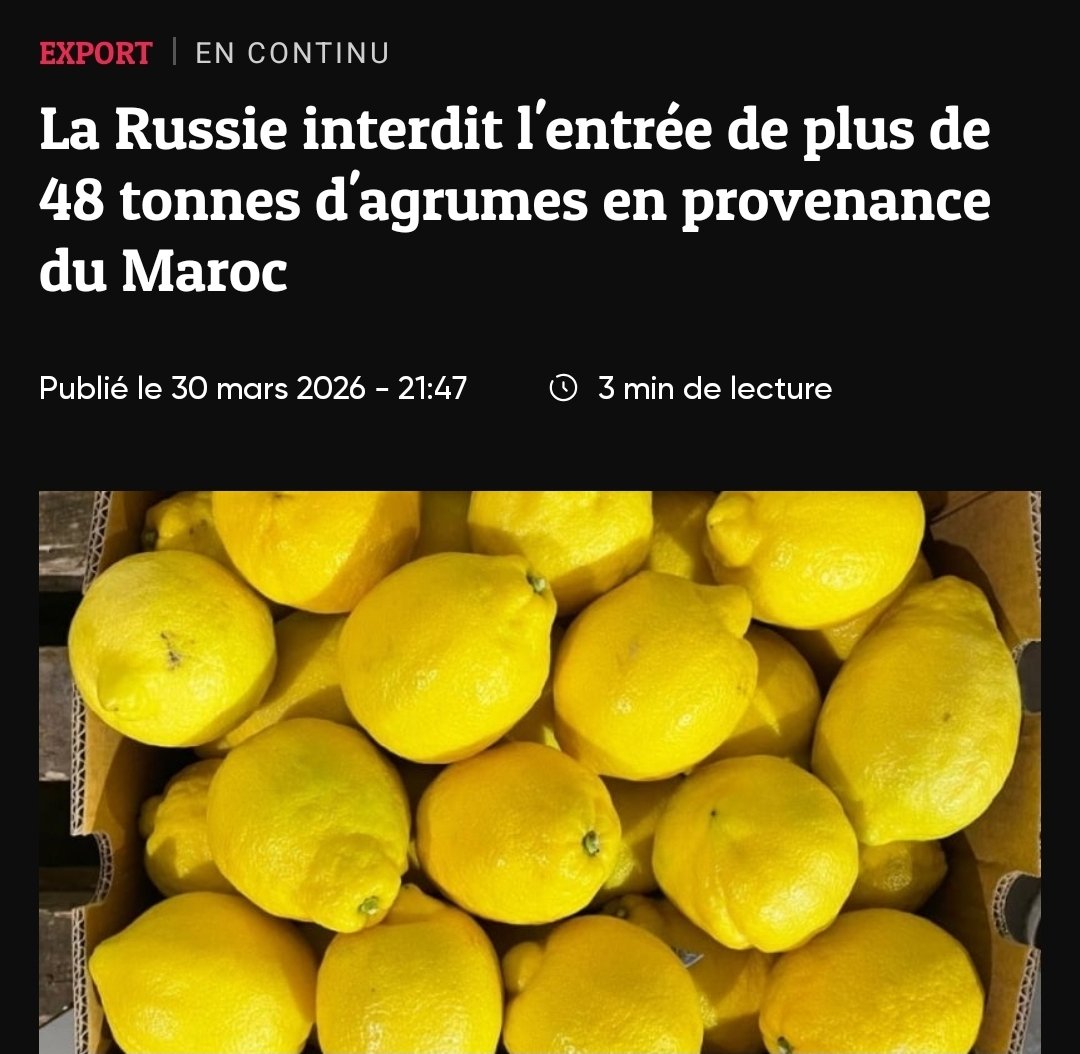 ליהאודי tweet media