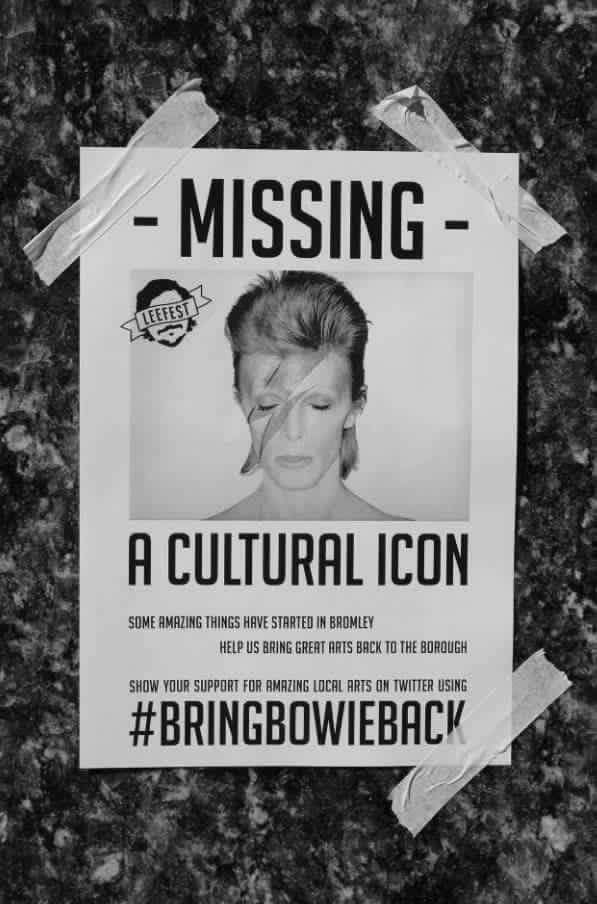 Lazy Stardust tweet media