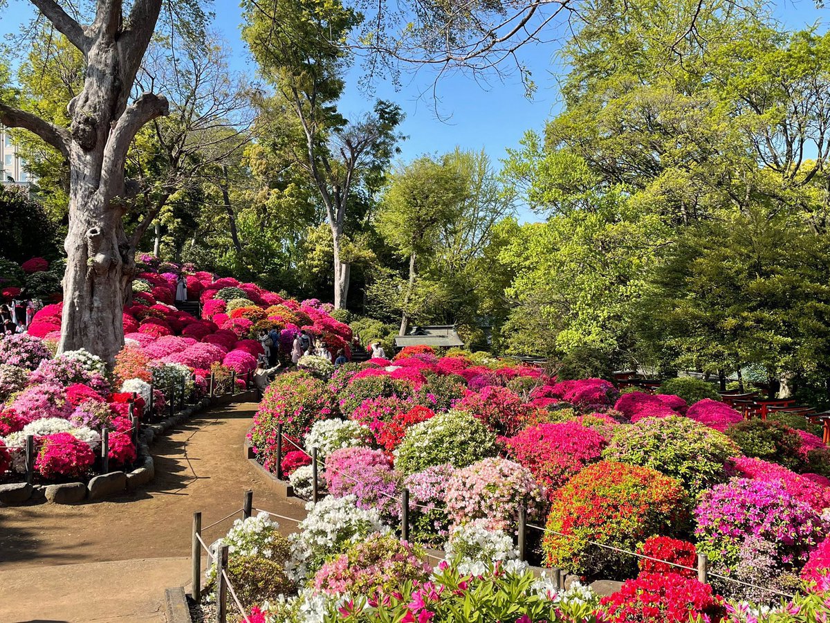 上野案内所 UENO Information Center【公式】 tweet media