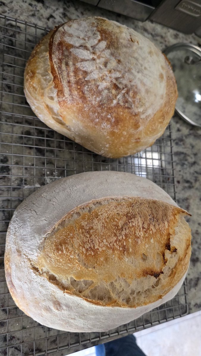 NaturallyNikki tweet media