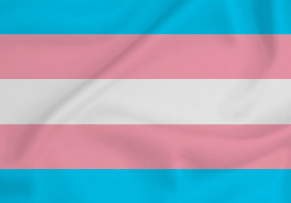 Gabrielle Cathala tweet media