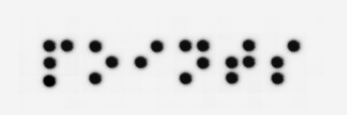 Secret Squirrels tweet media