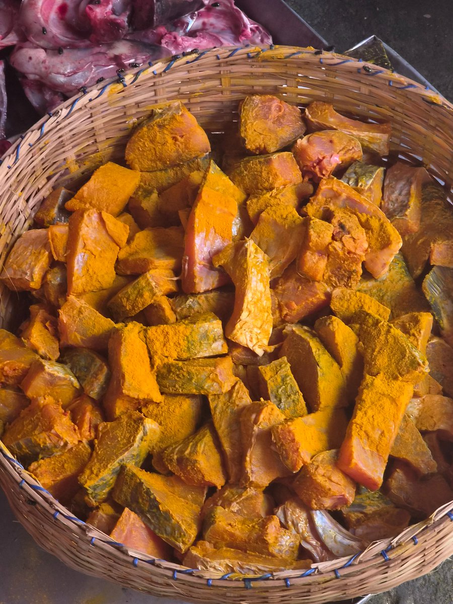 Winston Smith (Āsurā) tweet media