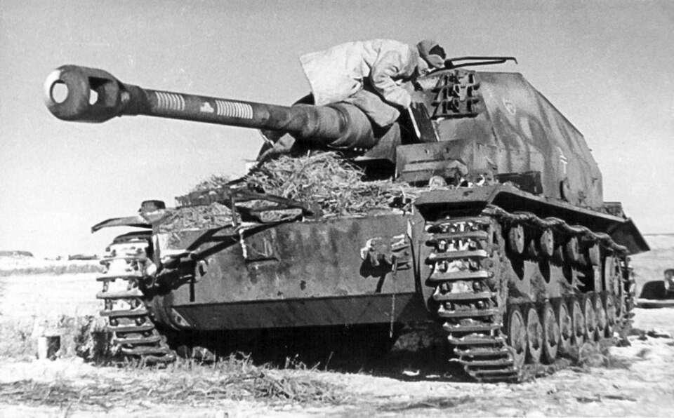 Tim Timsen tweet media