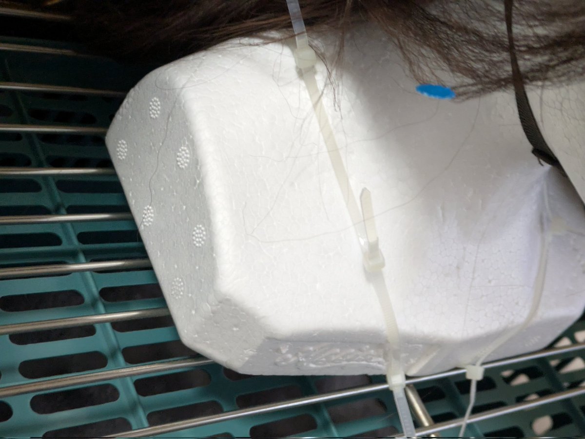 るぴか@池ア4/4.5 tweet media