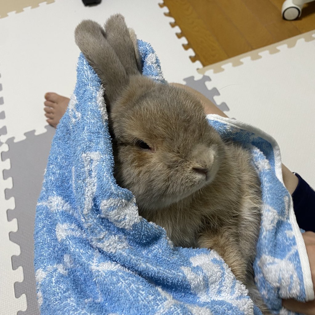 μP-NAT/ダンガンチューンズサントラ tweet media