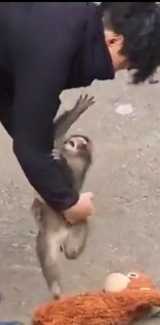 IlGuruMasciuga tweet media