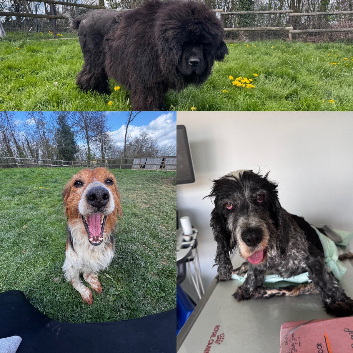 Julien Courbet tweet media