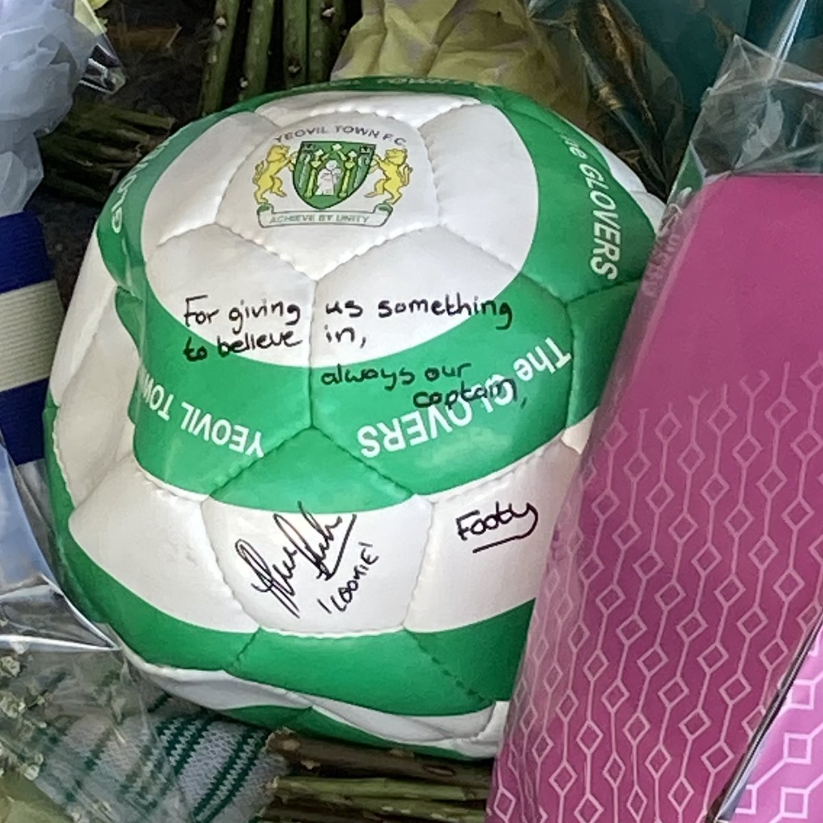 Elliot Warner tweet media