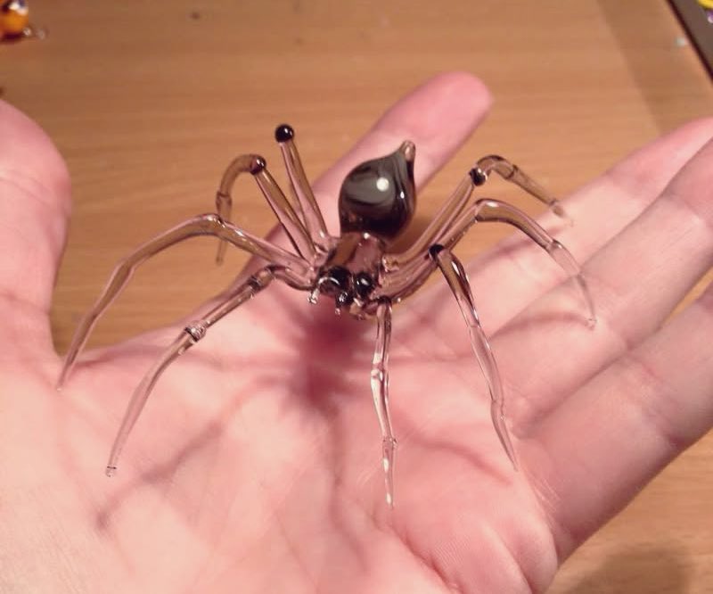 Mreže su važne za hvatanje štetnih insekata 🕸️