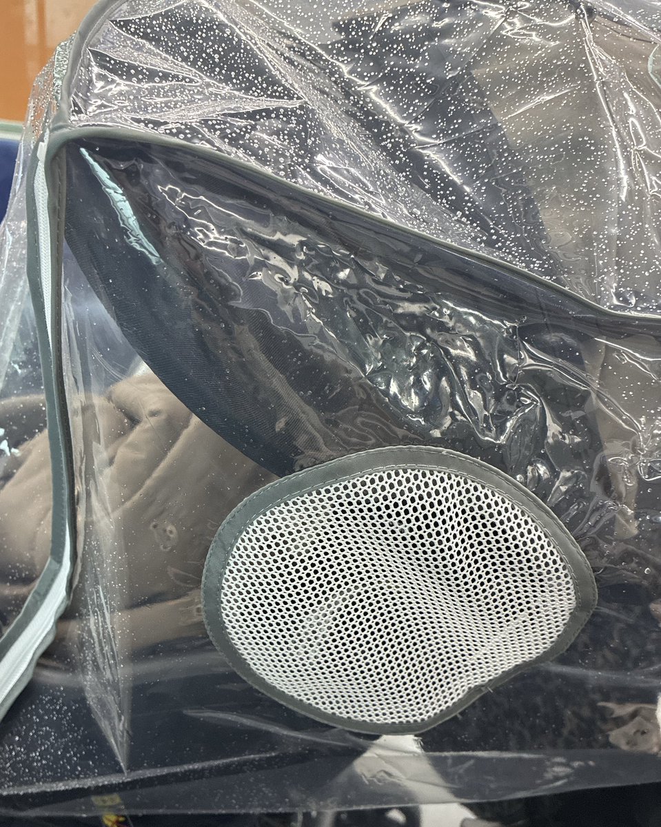 ほるもん☺︎𝟙𝟙𝔪ꗯ̤̮ tweet media