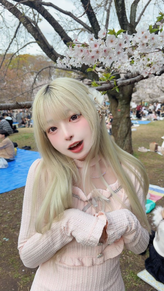 こがちゃんちゃん🍟 tweet media
