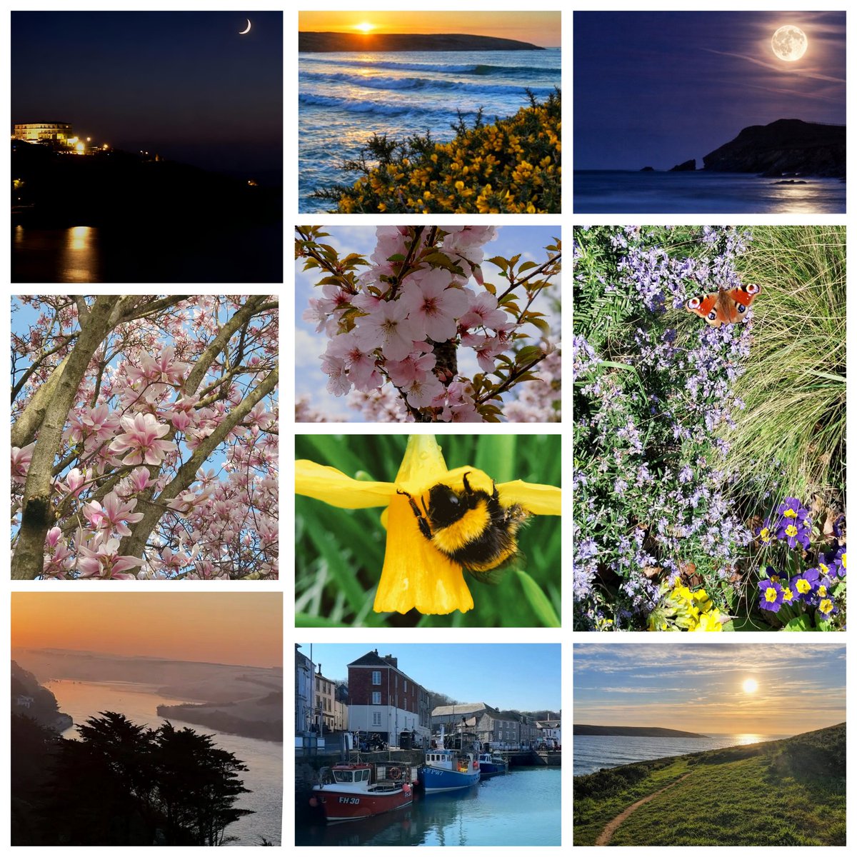 Kate 🏄‍♀️🌊🤙〓〓 tweet media