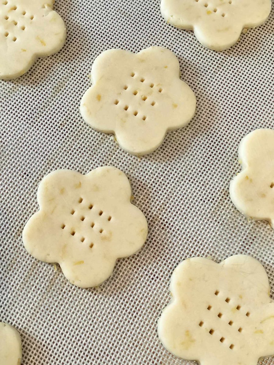 ★Cha Tea 紅茶教室★ tweet media