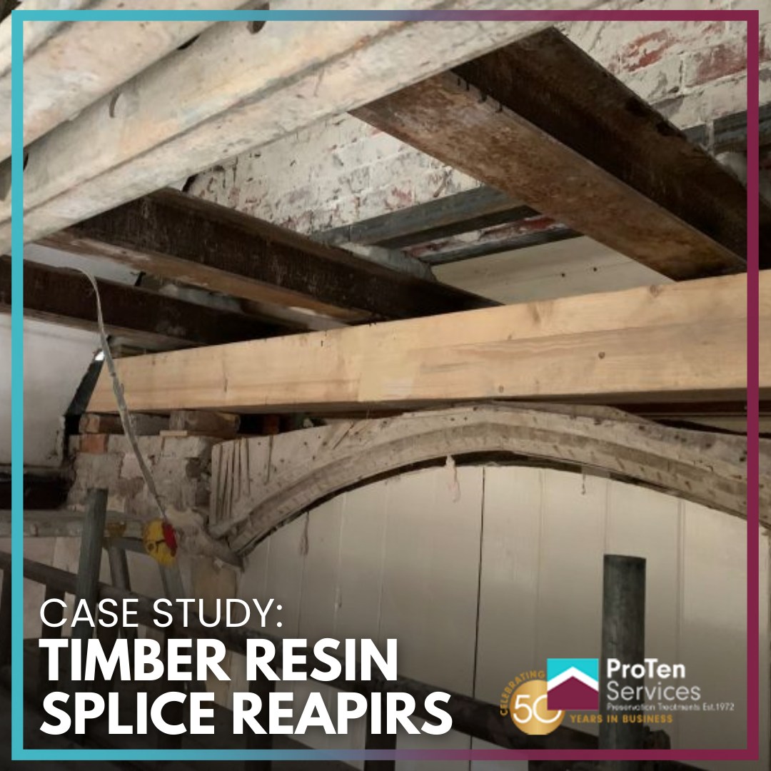 ProTen Services tweet media