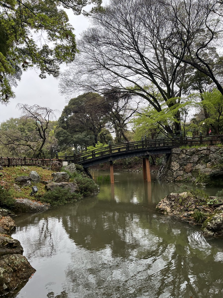 土砂降りの雨が止んだので🙌浜松城へお散歩🏯
期間限定の浜松城歴代城主の家紋デザイン天守閣ストリートピアノが🎹✨

#TMNETWORK 
#QUANTUM