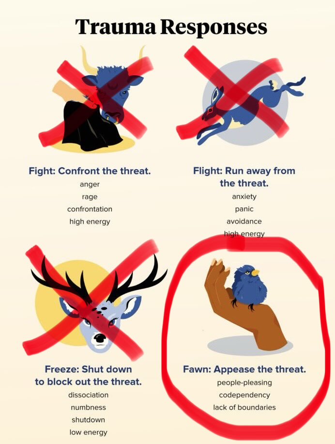 David Sun tweet media