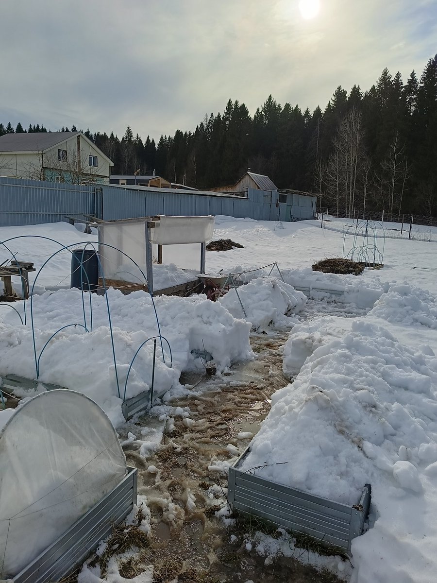 Досвечивать 12 часов в сутки tweet media