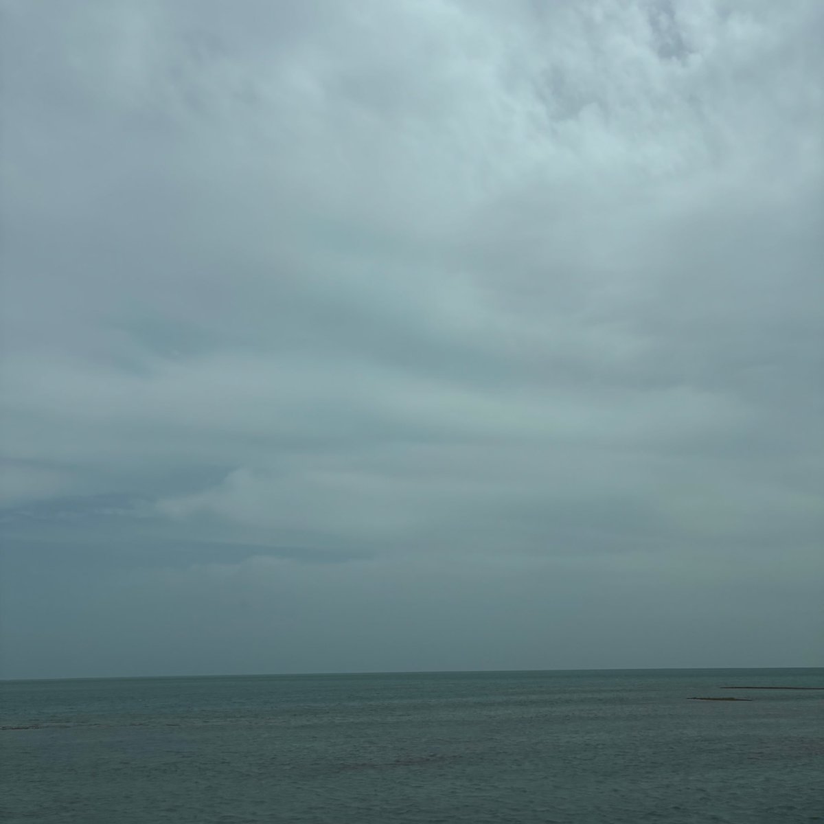 وريف tweet media