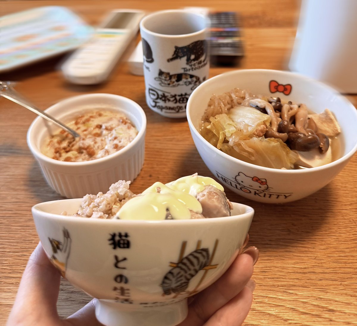 さくらねこ先生🌸🐈 tweet media