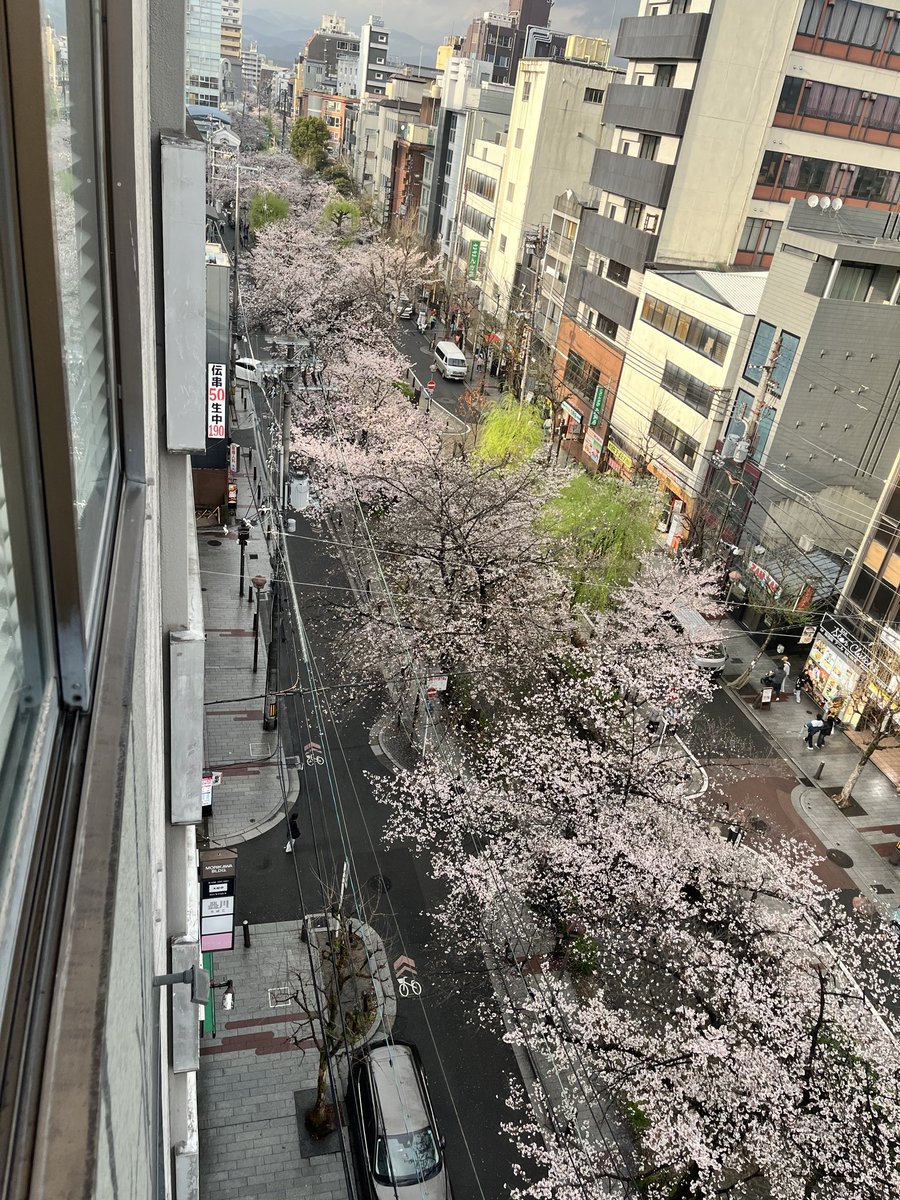 オレンジスタイル tweet media