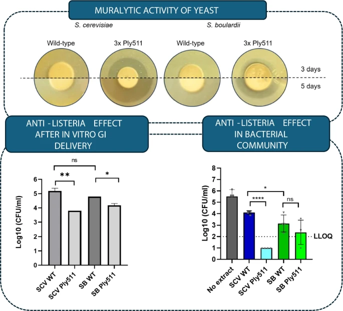 Domingues Lab tweet media