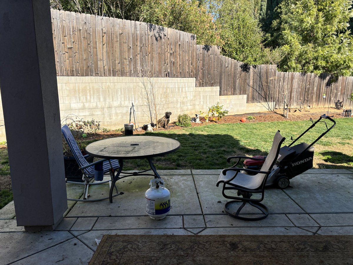 Satoshi Miatamoto tweet media