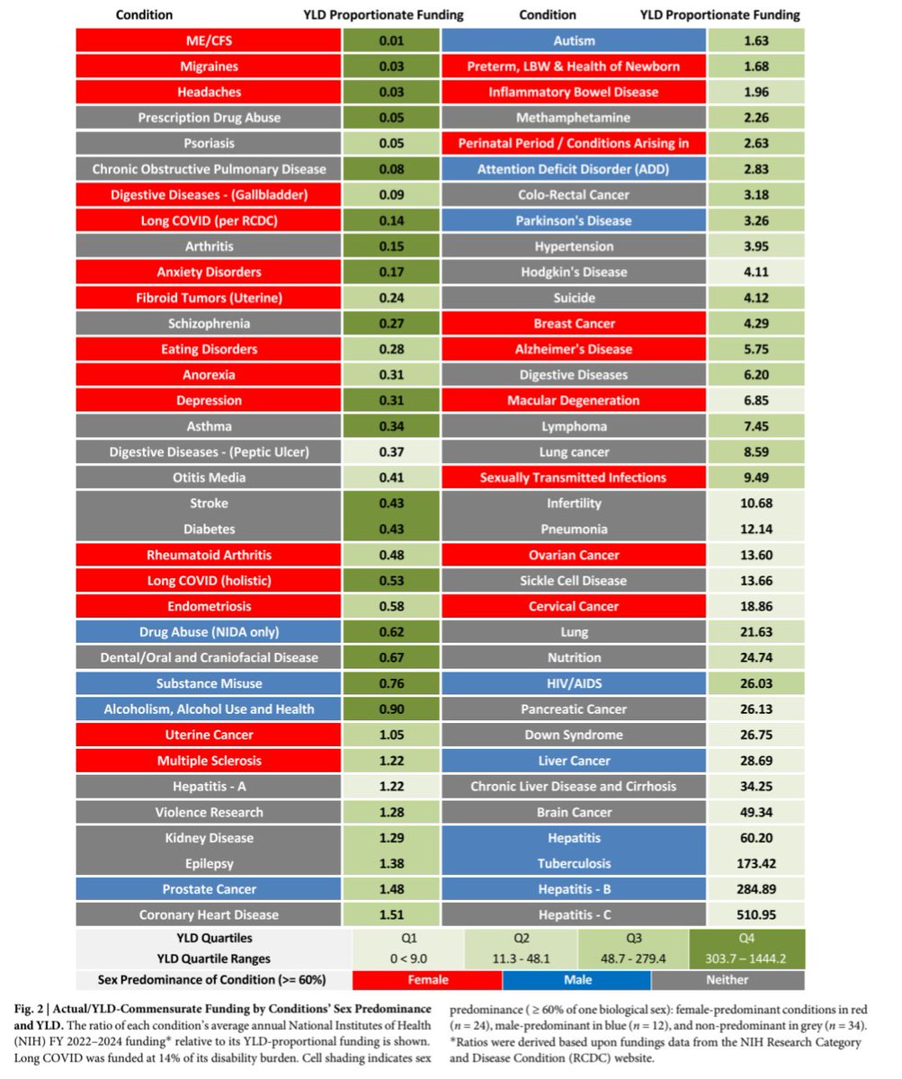 Rien de Böck tweet media