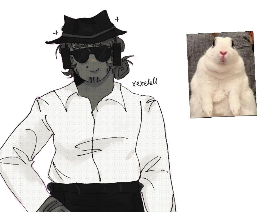 xexeloll tweet media