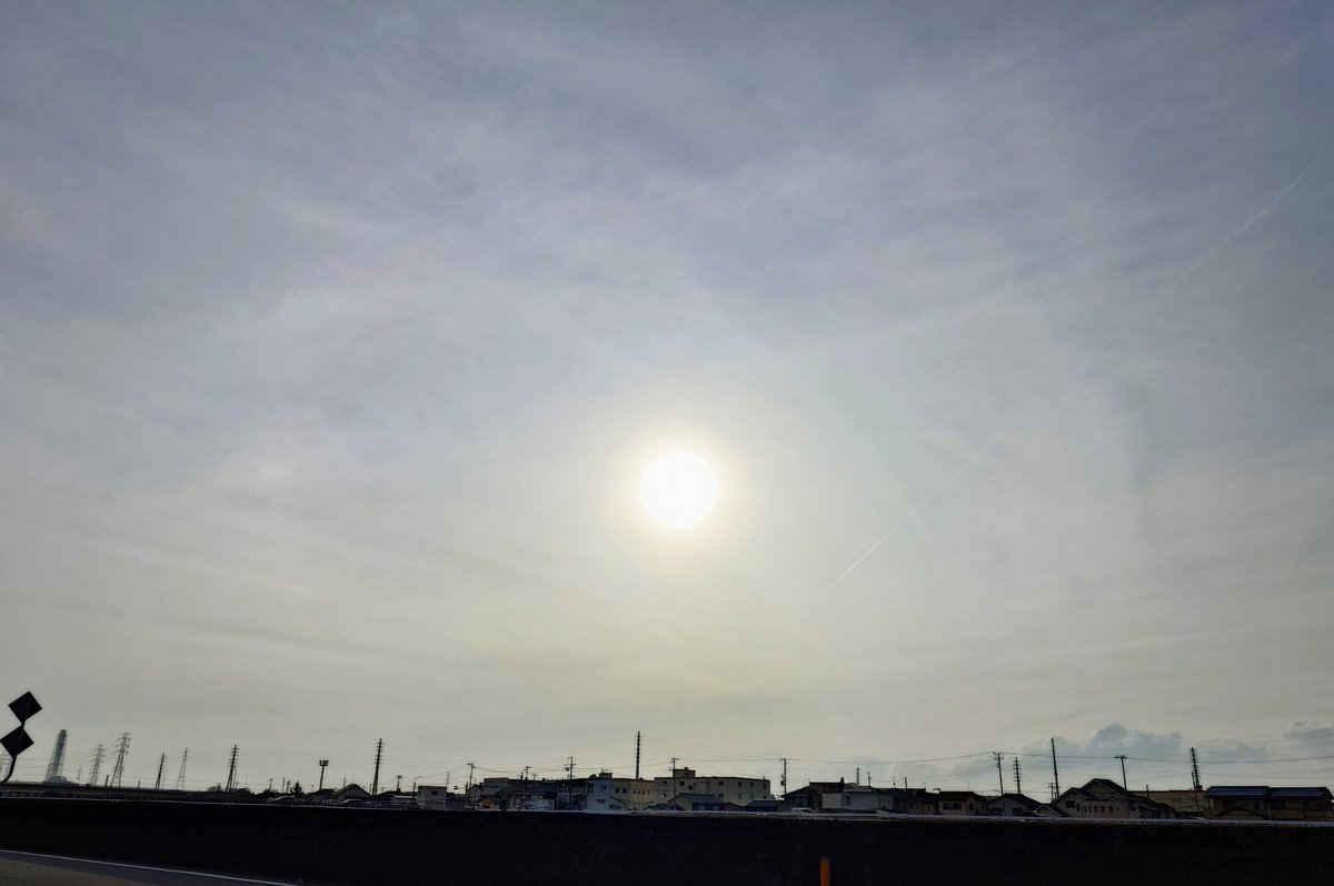 reon 🐕&yasu💓(ネット保守連合応援団(๑•̀ㅁ•́๑)✧) tweet media