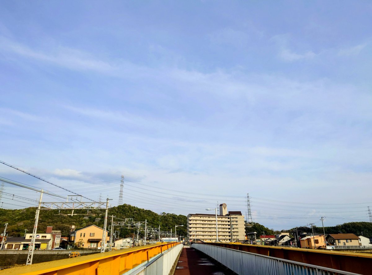 reon 🐕&yasu💓(ネット保守連合応援団(๑•̀ㅁ•́๑)✧) tweet media