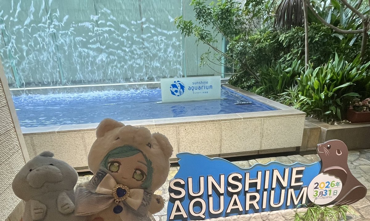 いかの tweet media