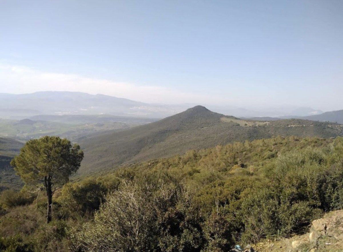 أميرة الهلالي👸🏻 tweet media