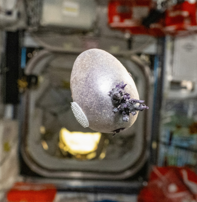 Mirek Usidus ☣️ tweet media