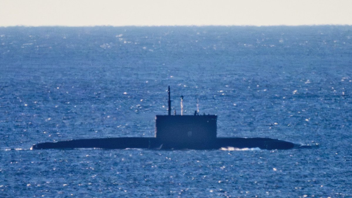 Navy Lookout tweet media