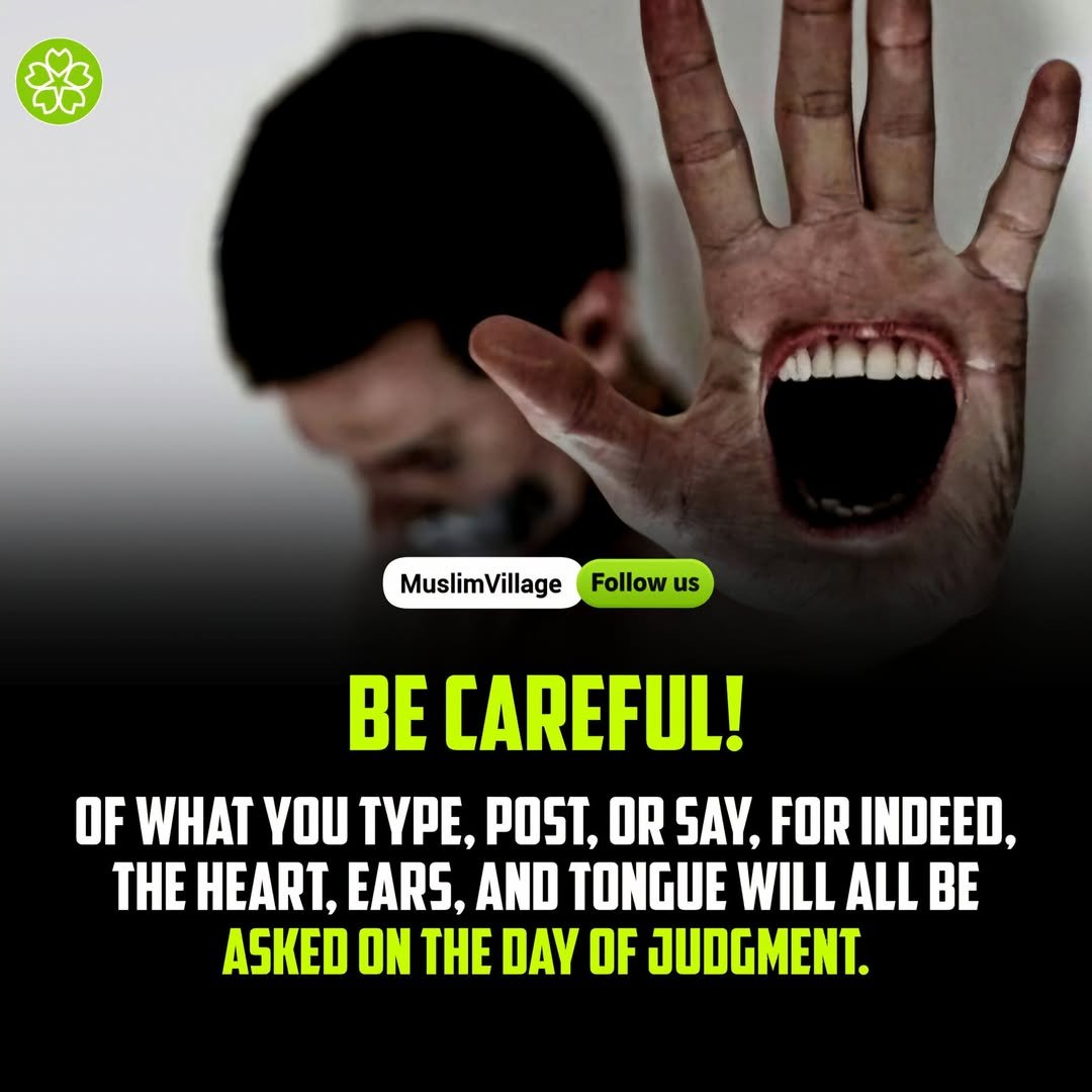 ヨーダさん tweet media