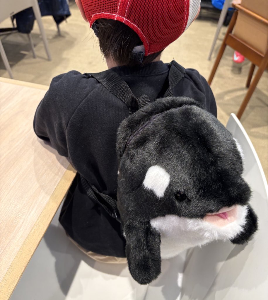 アリュール tweet media