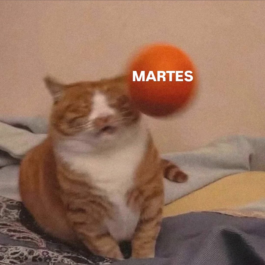 En Júpiter tweet media